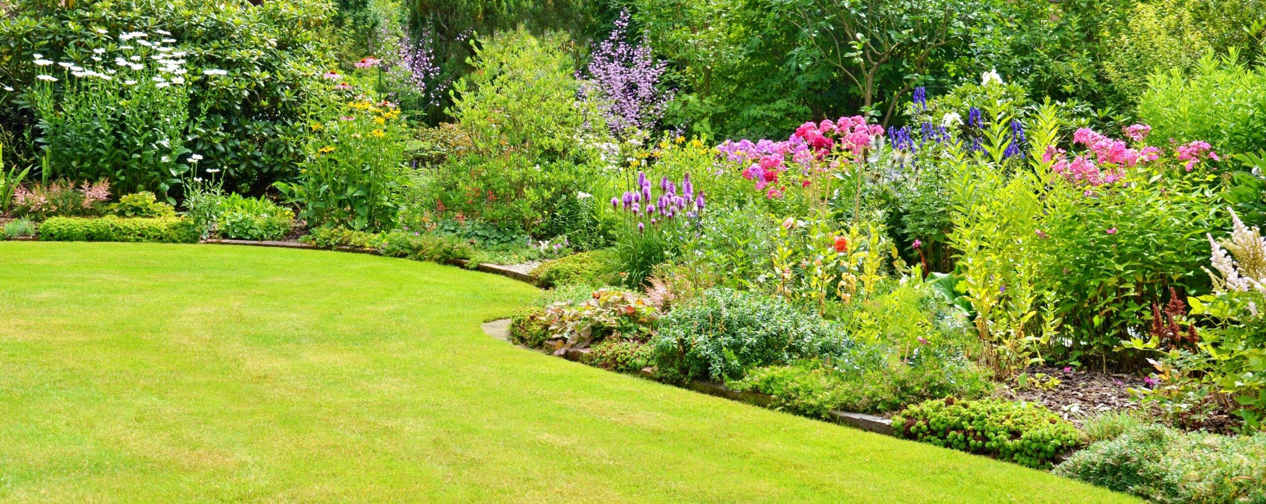 Ein gut gepflegter Garten 